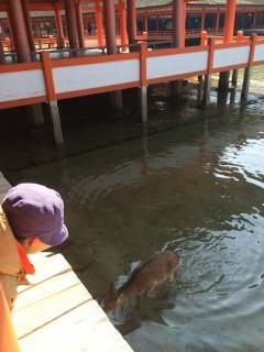 �������s���`