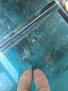 �y���M��