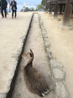 �n�}��������Ă��