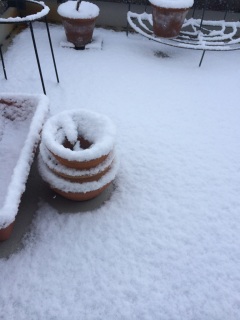 �ς����Ă����􂫂���