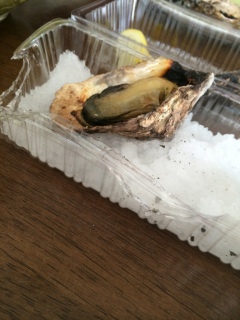 ����(��_��)����