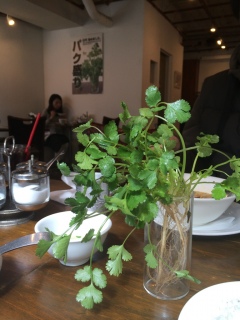 �p�N�`�[LOVE