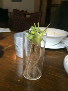 ���y�����܂ł����B