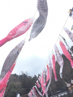 ���̑O�̓��j��