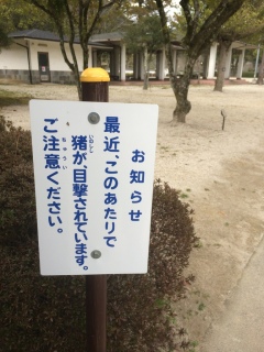 �F����Ȃ���