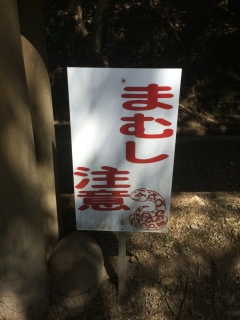 ���̑O�͒�����������