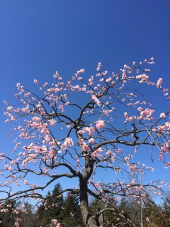 �����[���������V�C������