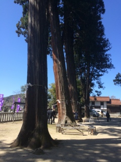 �p���[������Ă���