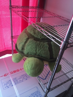 ���`�z�b�Ƃ����B