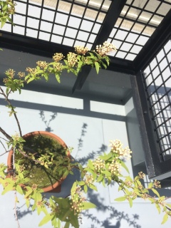 �������V�C