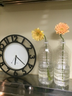 ���z�������`