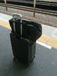 �V���T���̗���